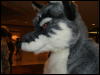 [BrownWolf FC2009 134]