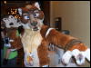 [BrownWolf FC2009 137]