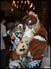 [BrownWolf FC2009 138]