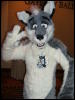 [BrownWolf FC2009 141]