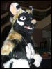 [BrownWolf FC2009 166]