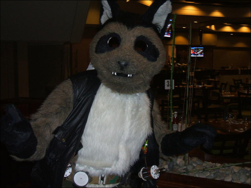 [BrownWolf_FC2009_168.jpg]