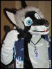 [BrownWolf FC2009 174]