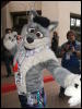 [BrownWolf FC2009 202]