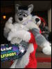 [BrownWolf FC2009 203]