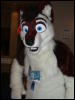 [BrownWolf FC2009 220]