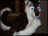 [BrownWolf FC2009 221]