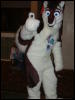 [BrownWolf FC2009 222]