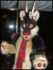 [BrownWolf FC2009 226]