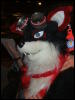 [BrownWolf FC2009 228]