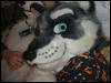 [BrownWolf FC2009 233]