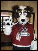 [BrownWolf FC2009 237]