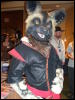 [BrownWolf FC2009 240]