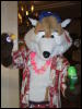 [BrownWolf FC2009 252]