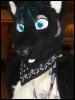 [BrownWolf FC2009 260]