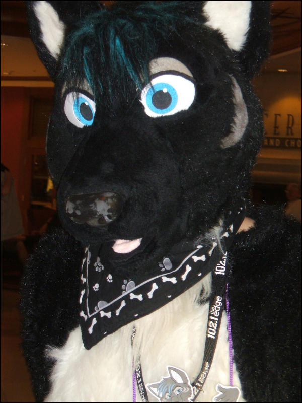 [BrownWolf_FC2009_260.jpg]