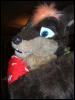 [BrownWolf FC2009 262]