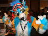 [BrownWolf FC2009 273]