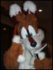 [BrownWolf FC2009 275]