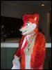 [BrownWolf FC2009 278]