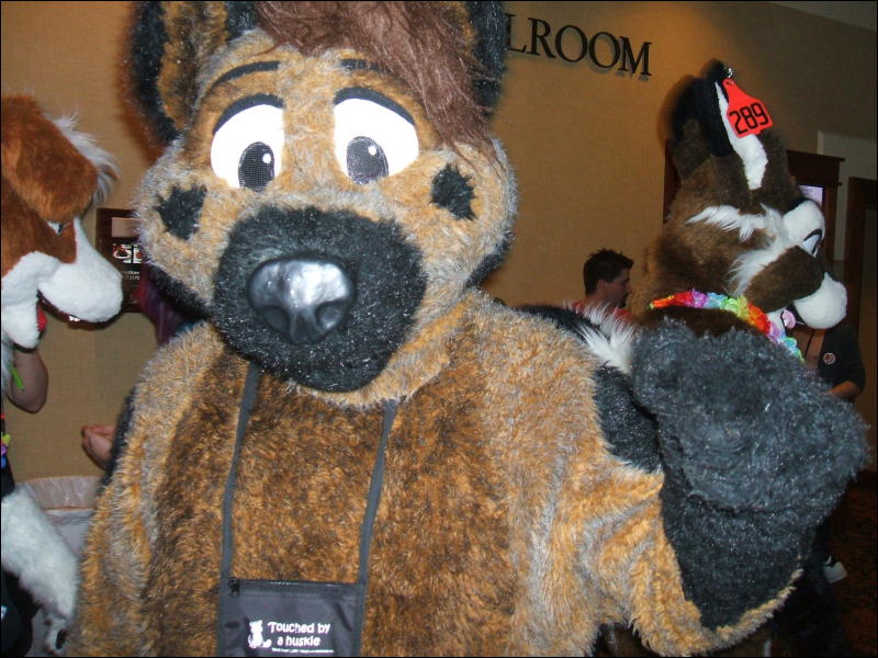 [BrownWolf_FC2009_290.jpg]