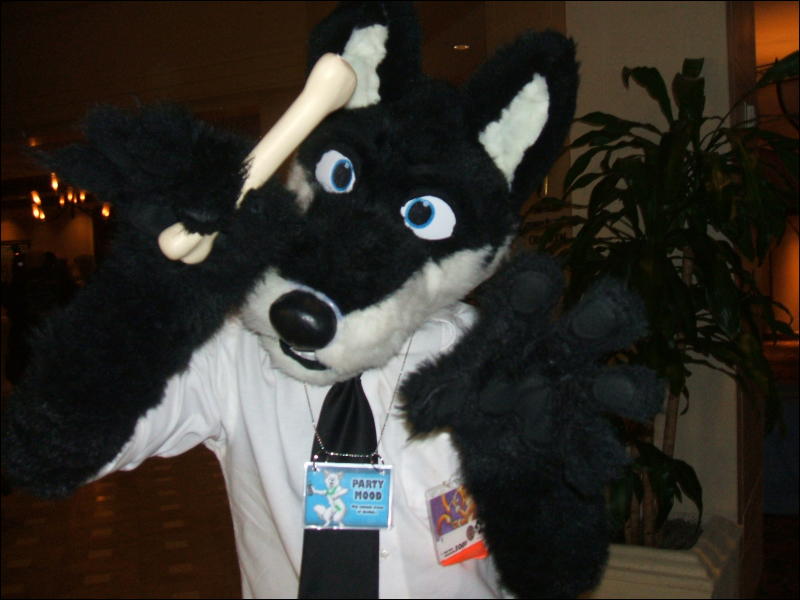 [BrownWolf_FC2009_319.jpg]