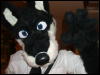 [BrownWolf FC2009 344]