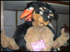 [BrownWolf FC2009 355]