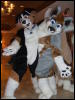 [BrownWolf FC2009 369]