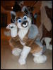 [BrownWolf FC2009 370]