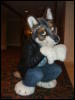 [BrownWolf FC2009 371]