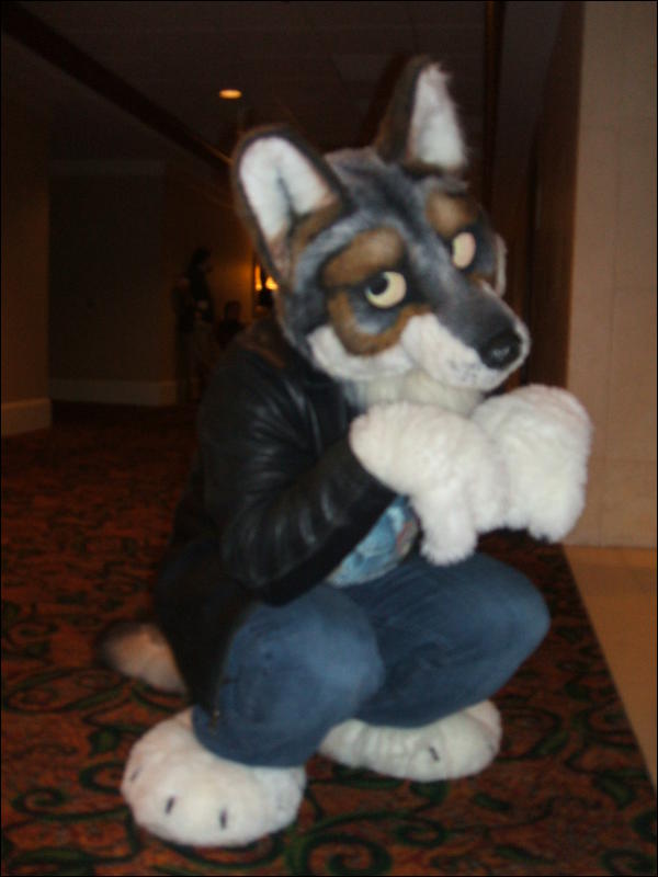 [BrownWolf_FC2009_371.jpg]