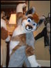 [BrownWolf FC2009 375]