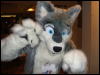 [BrownWolf FC2009 378]