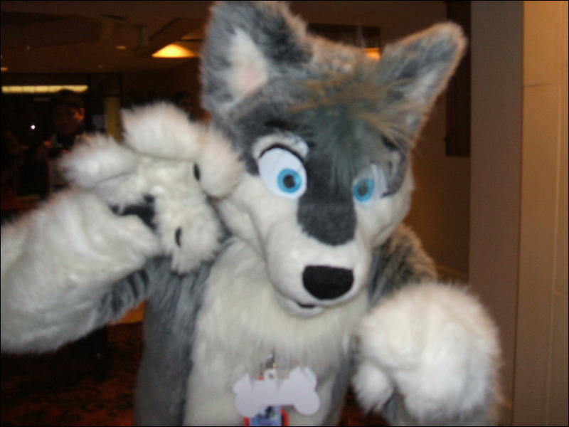 [BrownWolf_FC2009_378.jpg]