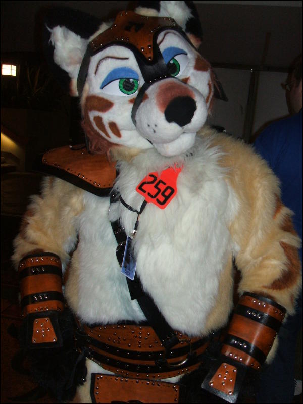 [BrownWolf_FC2009_381.jpg]