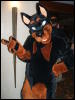 [BrownWolf FC2009 383]