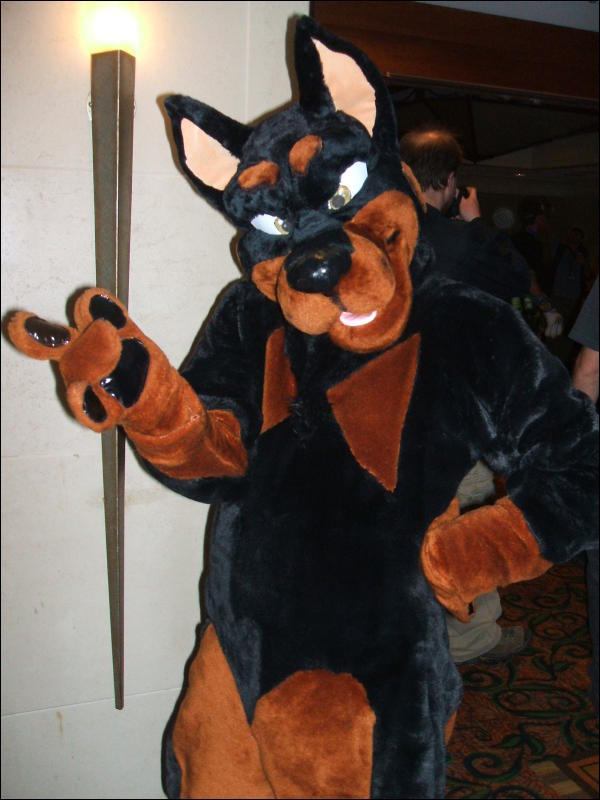 [BrownWolf_FC2009_383.jpg]