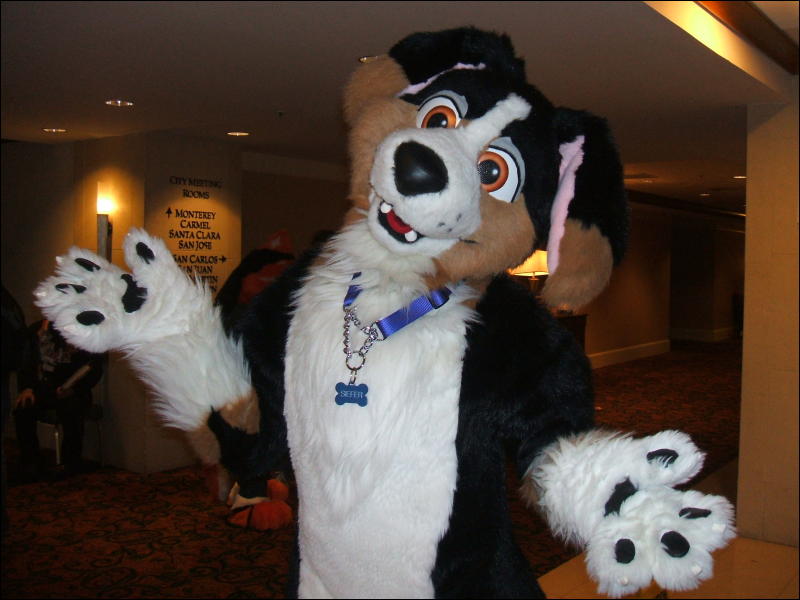 [BrownWolf_FC2009_384.jpg]