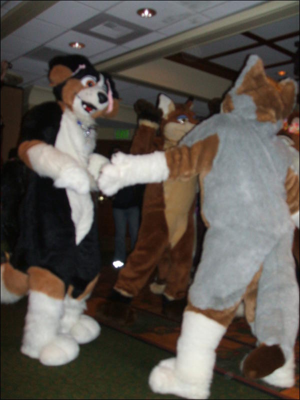 [BrownWolf_FC2009_386.jpg]