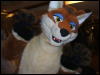 [BrownWolf FC2009 394]