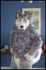 [DamonHusky FC2009 001]