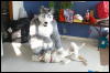 [DamonHusky FC2009 007]