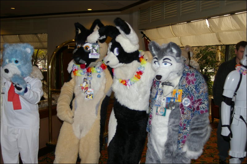 [DamonHusky_FC2009_018.jpg]