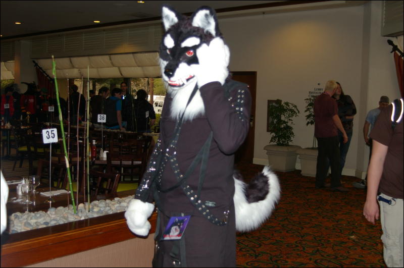 [DamonHusky_FC2009_027.jpg]