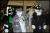 [DamonHusky FC2009 031]