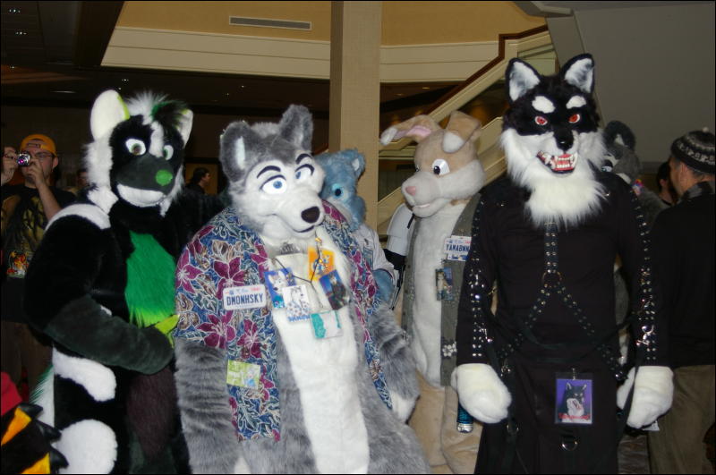 [DamonHusky_FC2009_031.jpg]