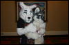 [DamonHusky FC2009 108]