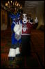 [DamonHusky FC2009 123]