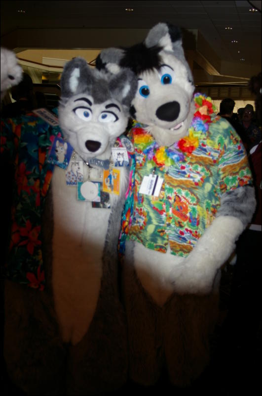 [DamonHusky_FC2009_124.jpg]